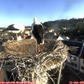 07_30-nest.jpg