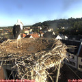 07_35-nest.jpg