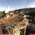 07_40-nest.jpg