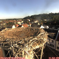 07_45-nest.jpg