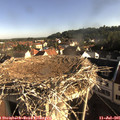 08_05-nest.jpg
