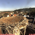 08_10-nest.jpg