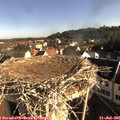 08_15-nest.jpg