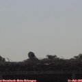 09_05-mast.jpg