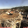 09_05-nest.jpg