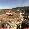 09_10-nest.jpg