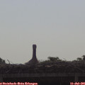 09_15-mast.jpg
