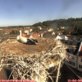 09_15-nest.jpg