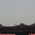 09_20-mast.jpg