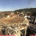 09_20-nest.jpg