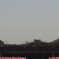 09_25-mast.jpg