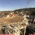 09_25-nest.jpg