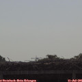 09_30-mast.jpg