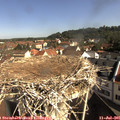 09_30-nest.jpg