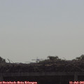 09_35-mast.jpg
