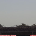 09_40-mast.jpg