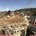 10_00-nest.jpg
