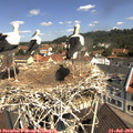 11_10-nest.jpg