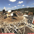 12_05-nest.jpg