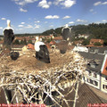 12_10-nest.jpg