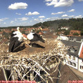 12_45-nest.jpg