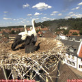 13_15-nest.jpg