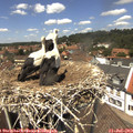 13_20-nest.jpg