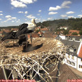 13_45-nest.jpg