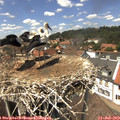 13_55-nest.jpg