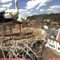14_15-nest.jpg