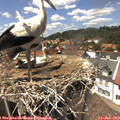 14_25-nest.jpg