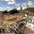 14_50-nest.jpg