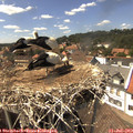 15_00-nest.jpg