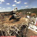 15_05-nest.jpg