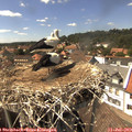 15_10-nest.jpg
