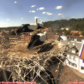 15_30-nest.jpg