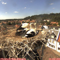 15_45-nest.jpg
