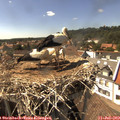 15_50-nest.jpg