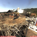 16_05-nest.jpg