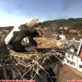 16_30-nest.jpg