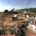 16_45-nest.jpg