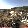 17_25-nest.jpg