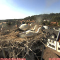 17_45-nest.jpg