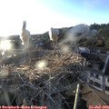 19_45-nest.jpg