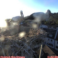 20_20-nest.jpg