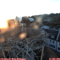 21_10-nest.jpg