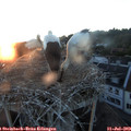 21_15-nest.jpg