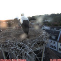 21_20-nest.jpg