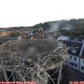 05_55-nest.jpg