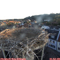 06_00-nest.jpg